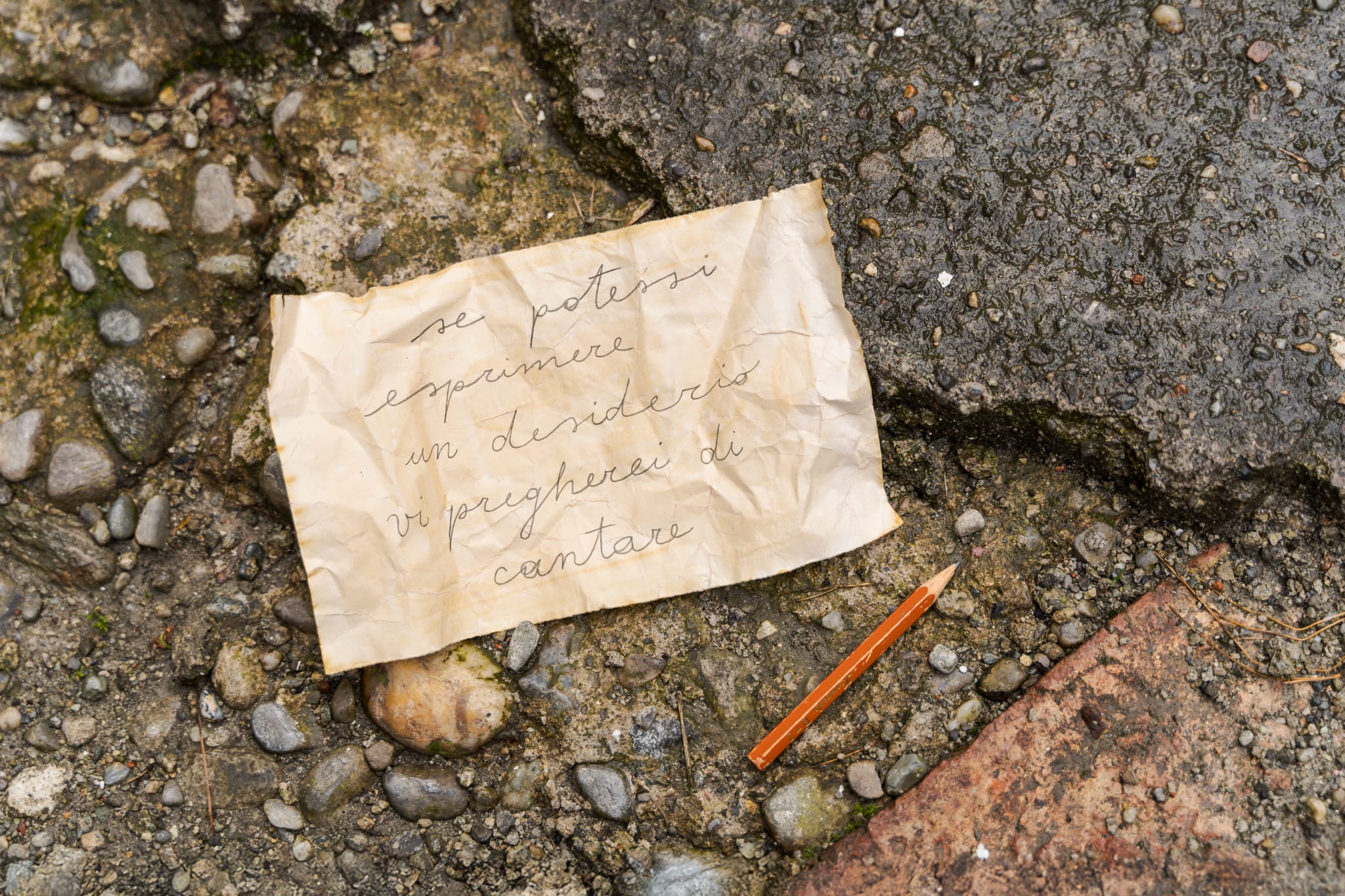 Foto di 'Se potessi esprimere un desiderio, vi pregherei di cantare'