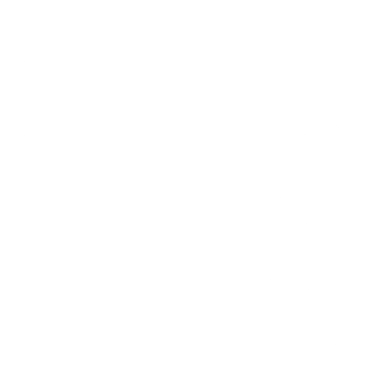 Logo STN