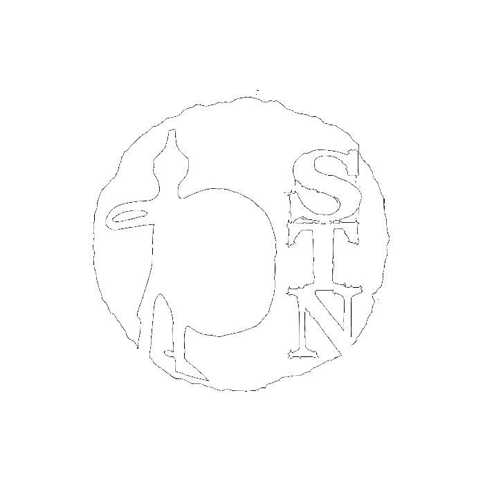 Logo di STN-studionovecento